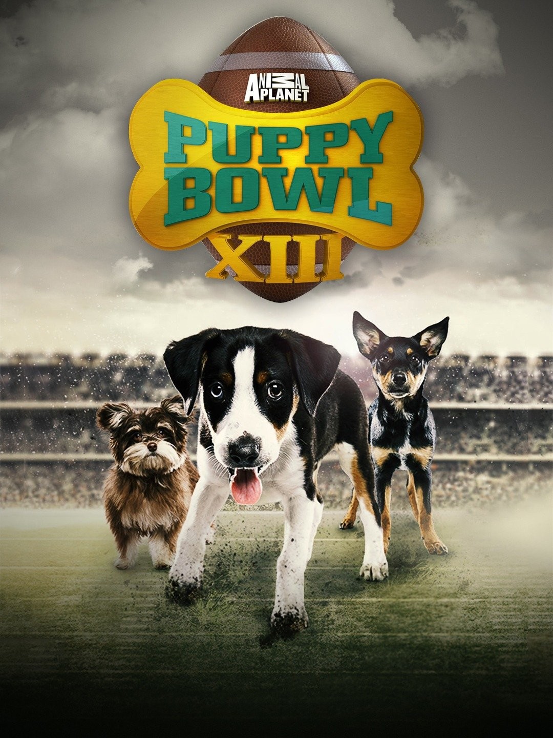 puppy bowl xiii